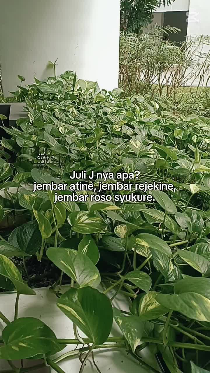 @just_me🍁
