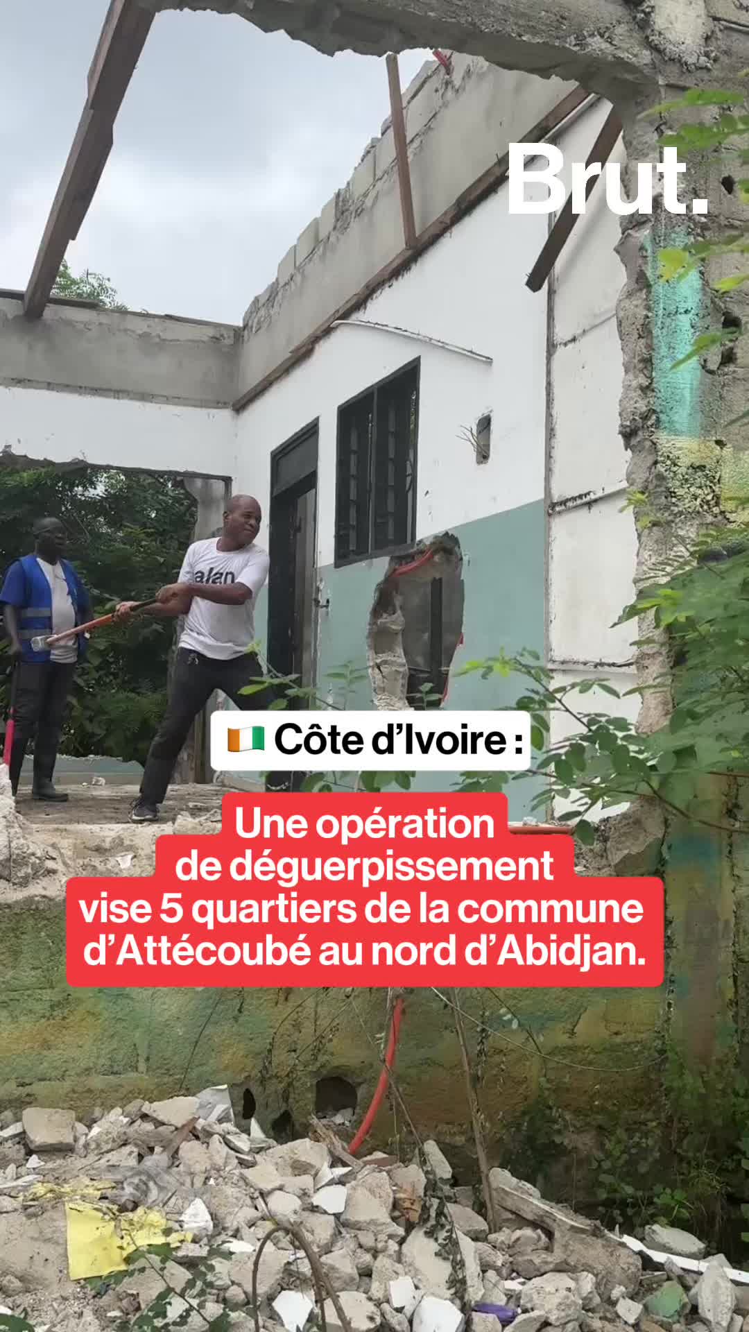 @Brut Afrique