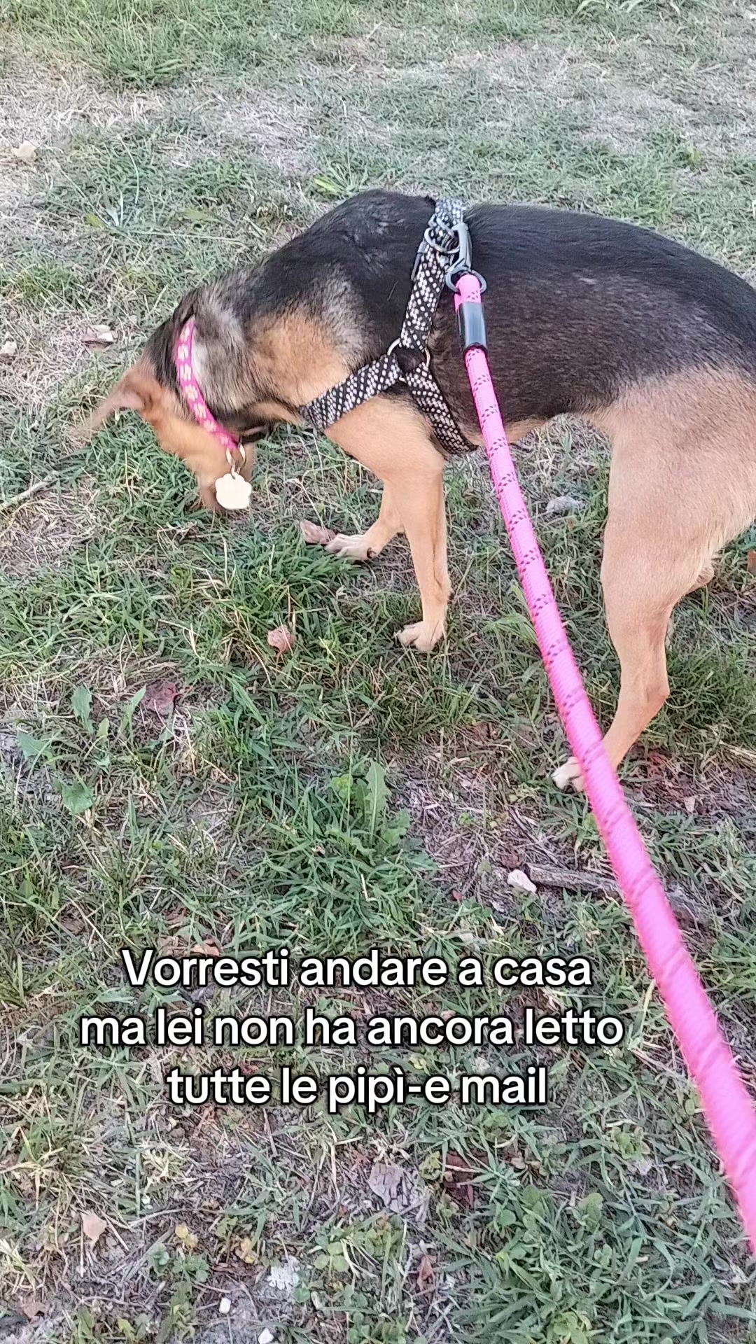 @PamDem