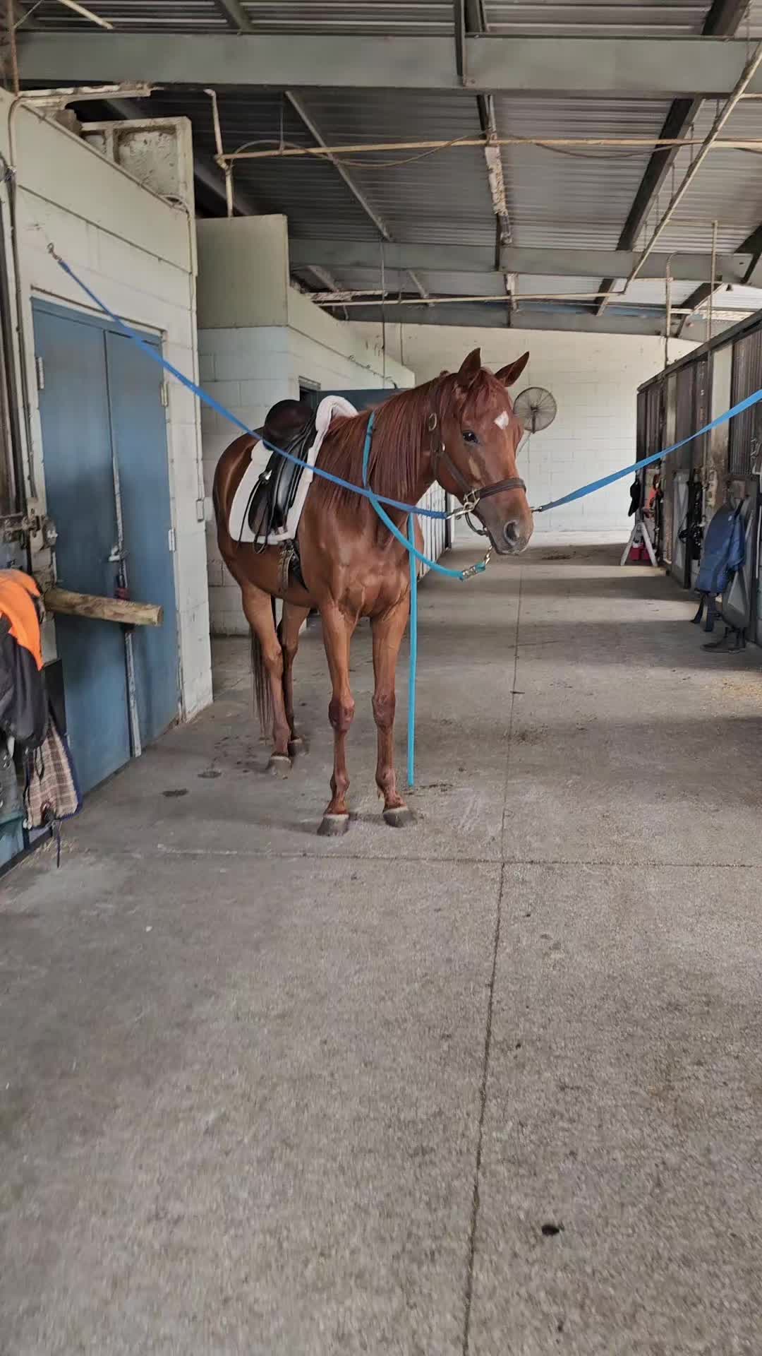 @Rachelrides