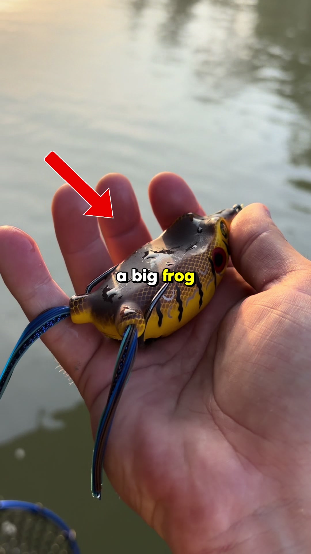 @trk.fishing