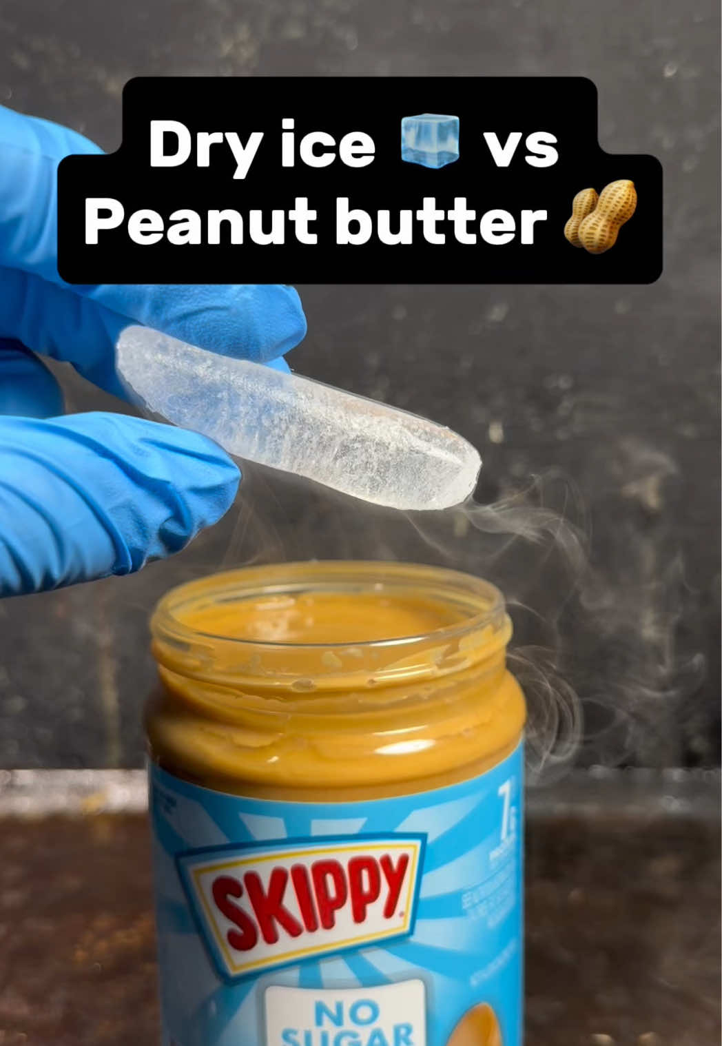 @FloridaFoxAnthillArt