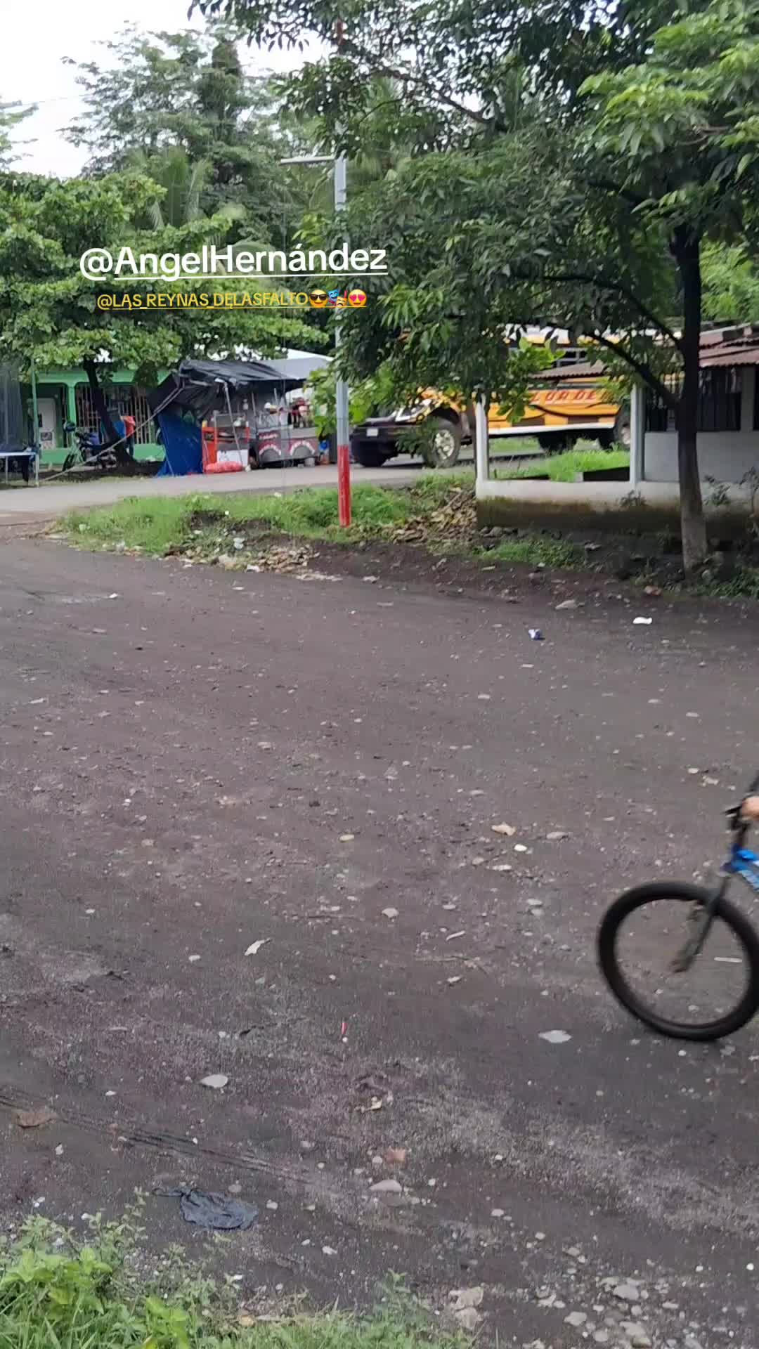 @LĄS_REYNAS_DĘL ASFALTO😎🎭😍