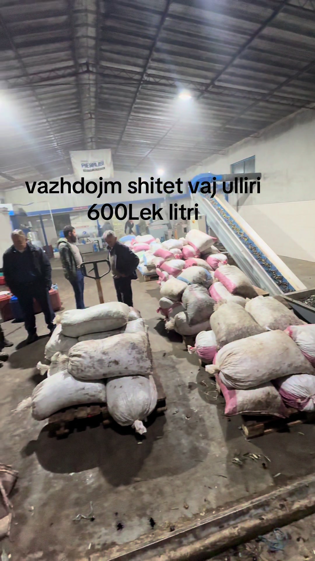 @fabrik vaj ulliri Luan Bengaj