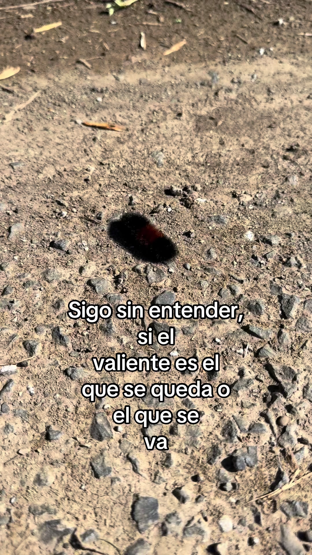 @pablocarbajal63