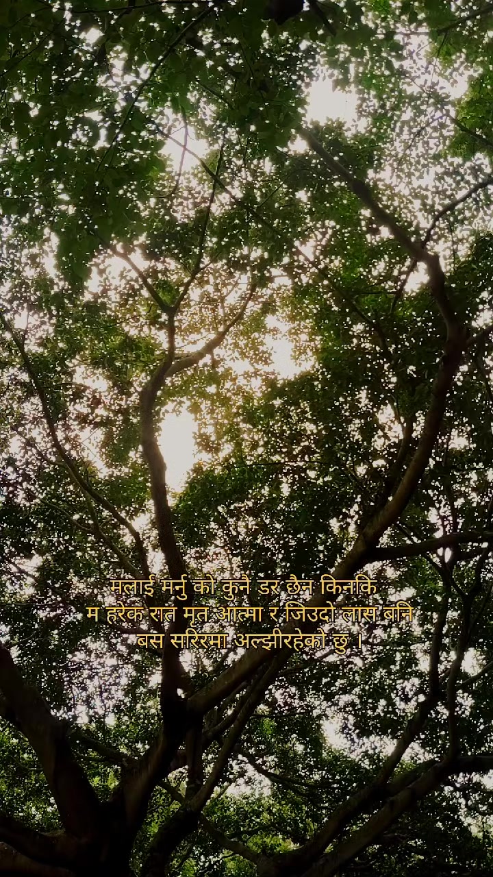 @LORD ASURA 🖤