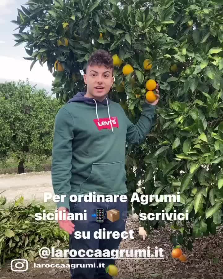 @laroccaagrumi.it
