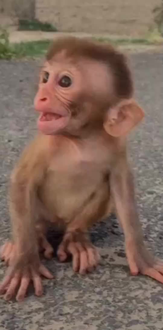 @føjï💛sâåb