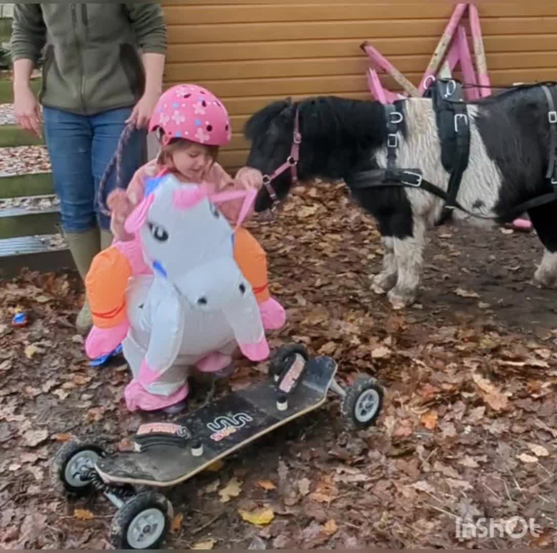 @The Pony Pals Family