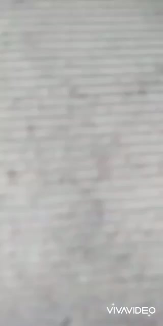 @Isha Kukreja