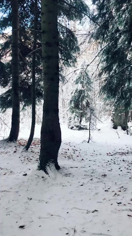 @Shifana123