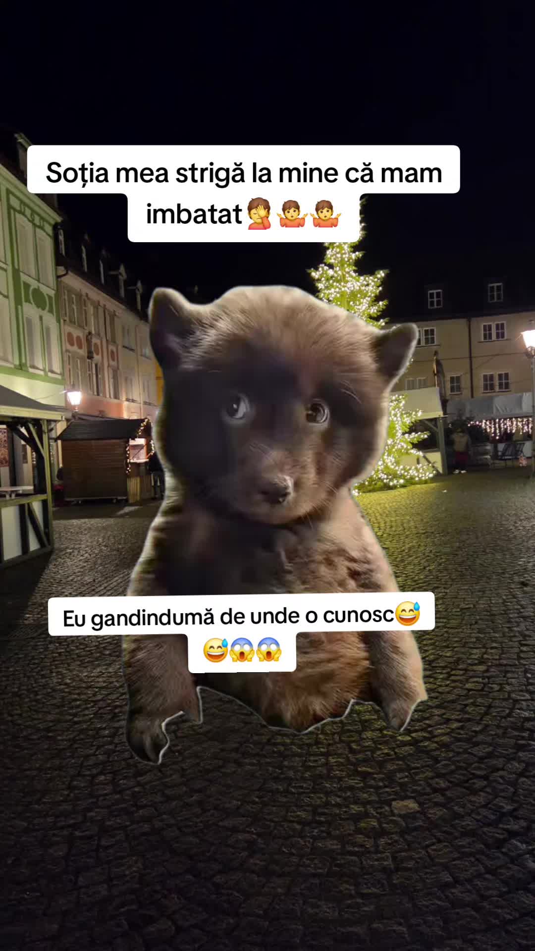 @Irimia Vasilică