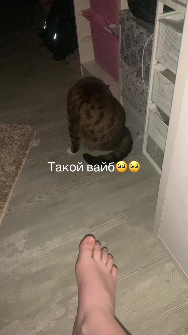 @Лестница деревянная