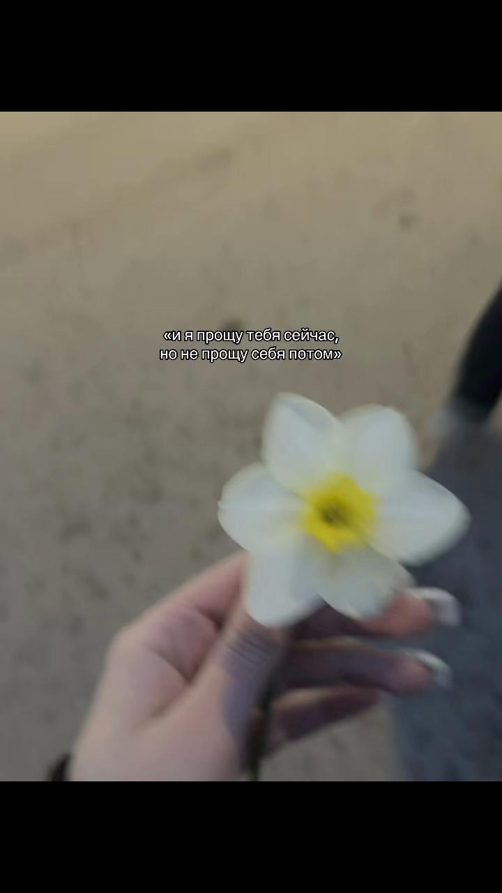 @аришка сижка