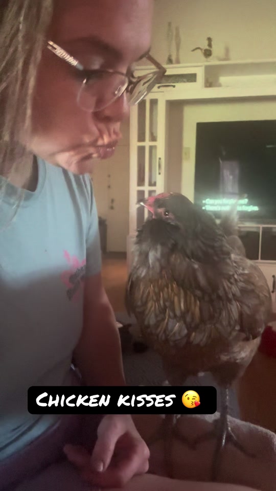 @Crazychickennurse