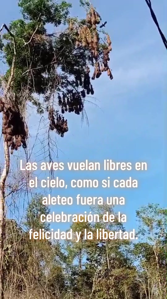 @Victor