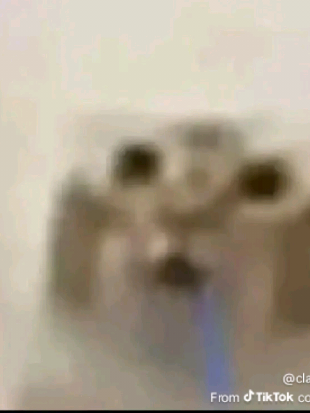 @๐๐ต๐๐๐๐๐.๐ป๐๐๐๐๐ฬเน