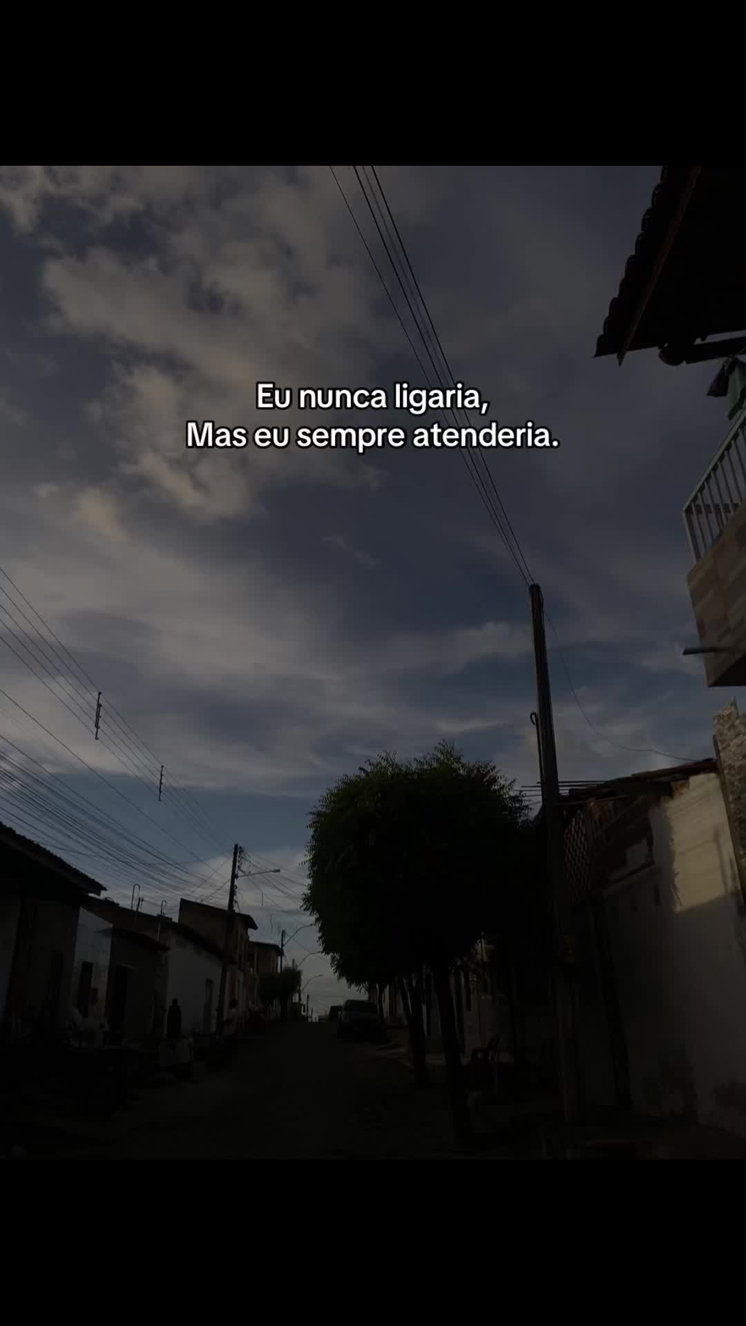 @Arielly Santos 🐆