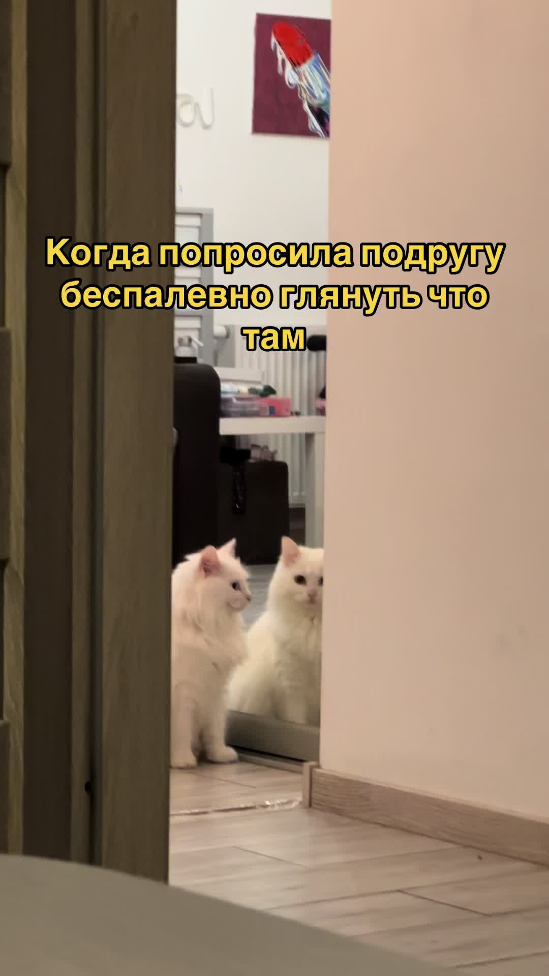 @VALERIA🇺🇦