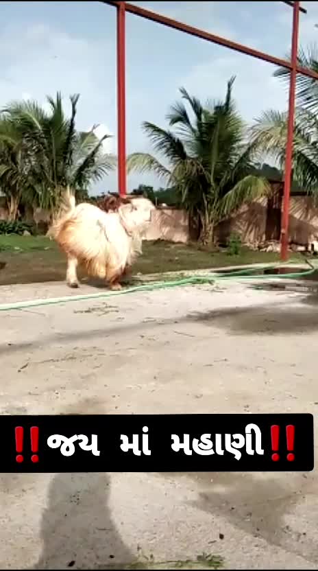 @user60570118231