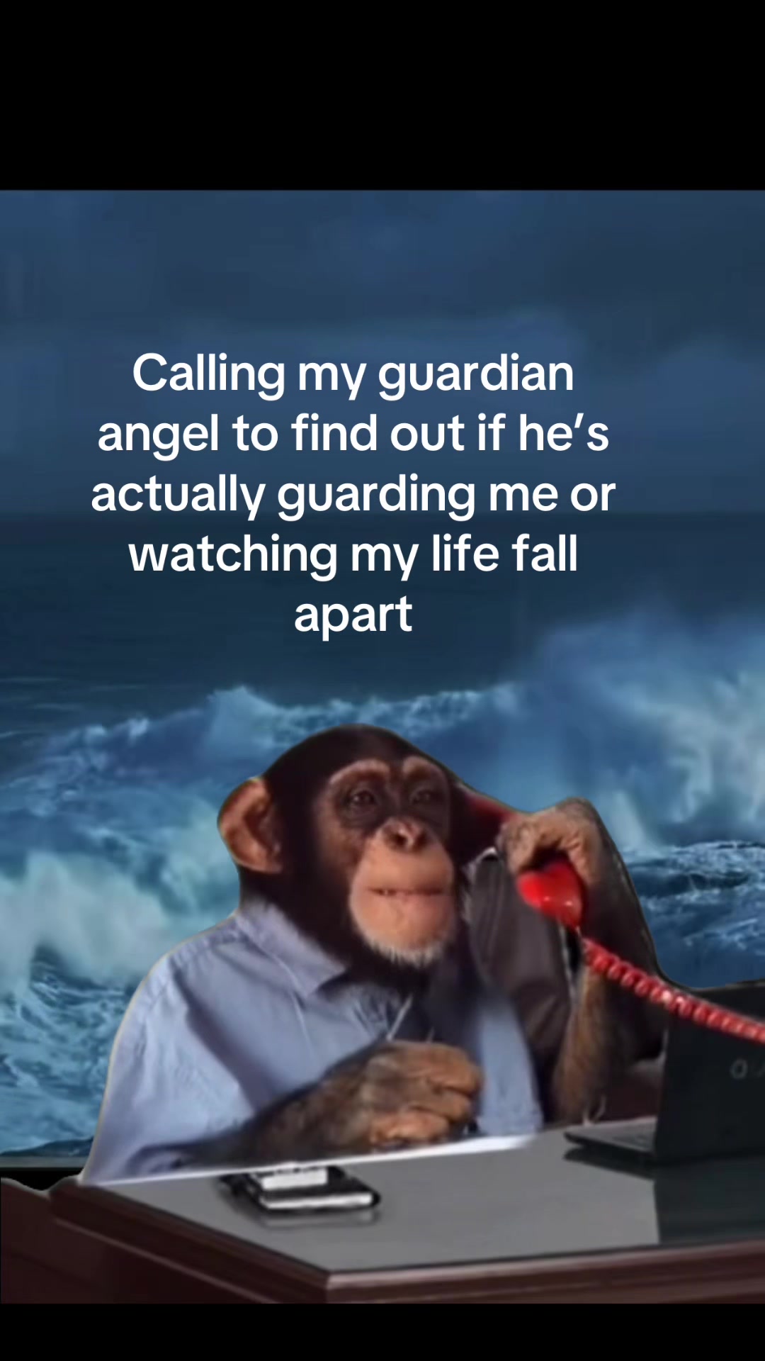@Barb