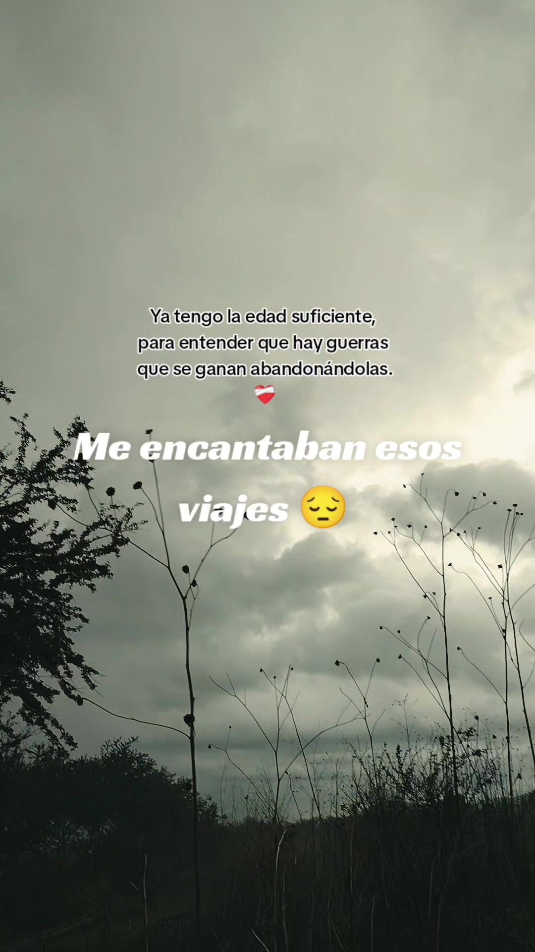 @Esmeralda TE SIGUE ❤️