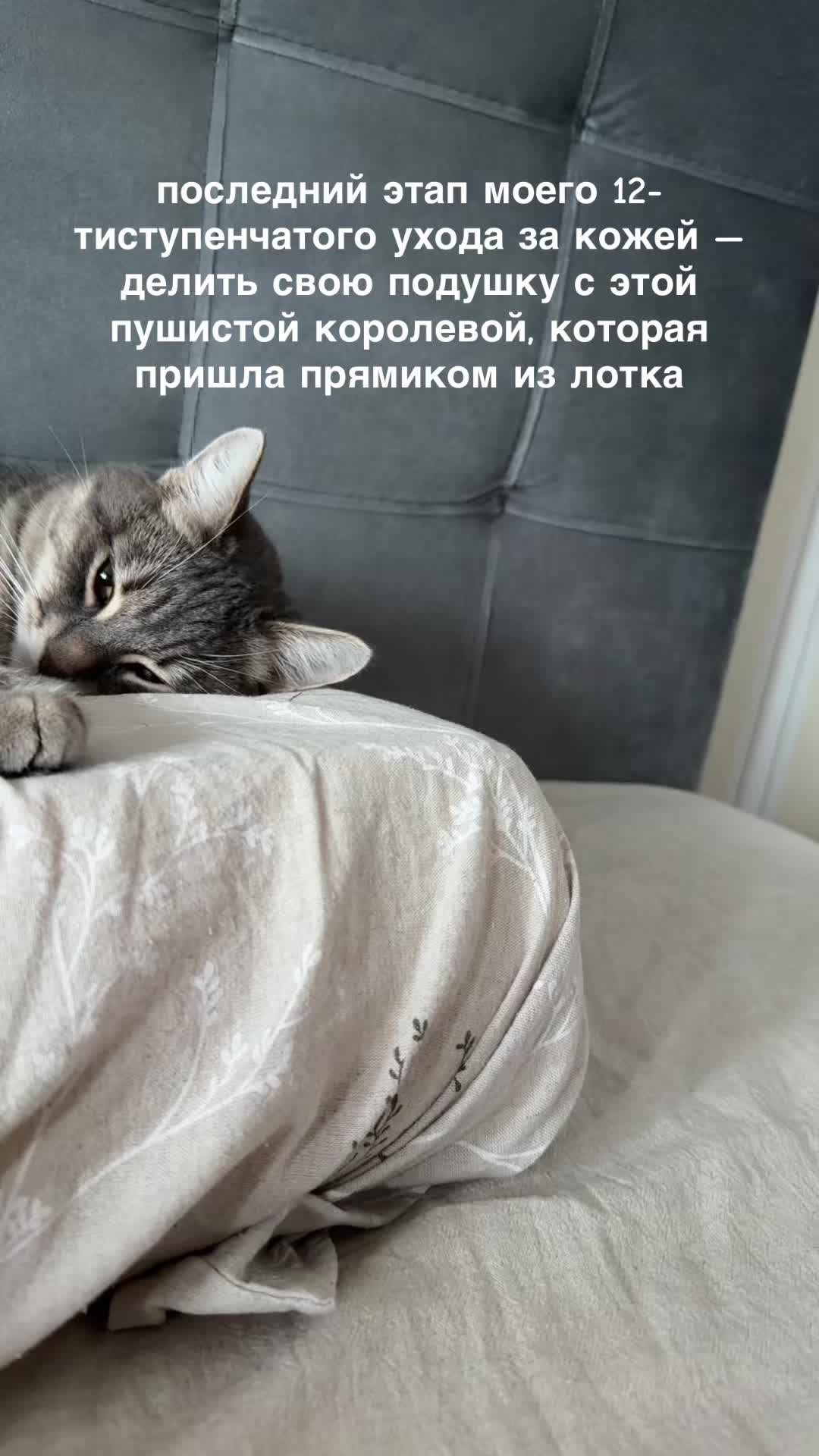 @ДАША | СММ | БЛОГ С НУЛЯ