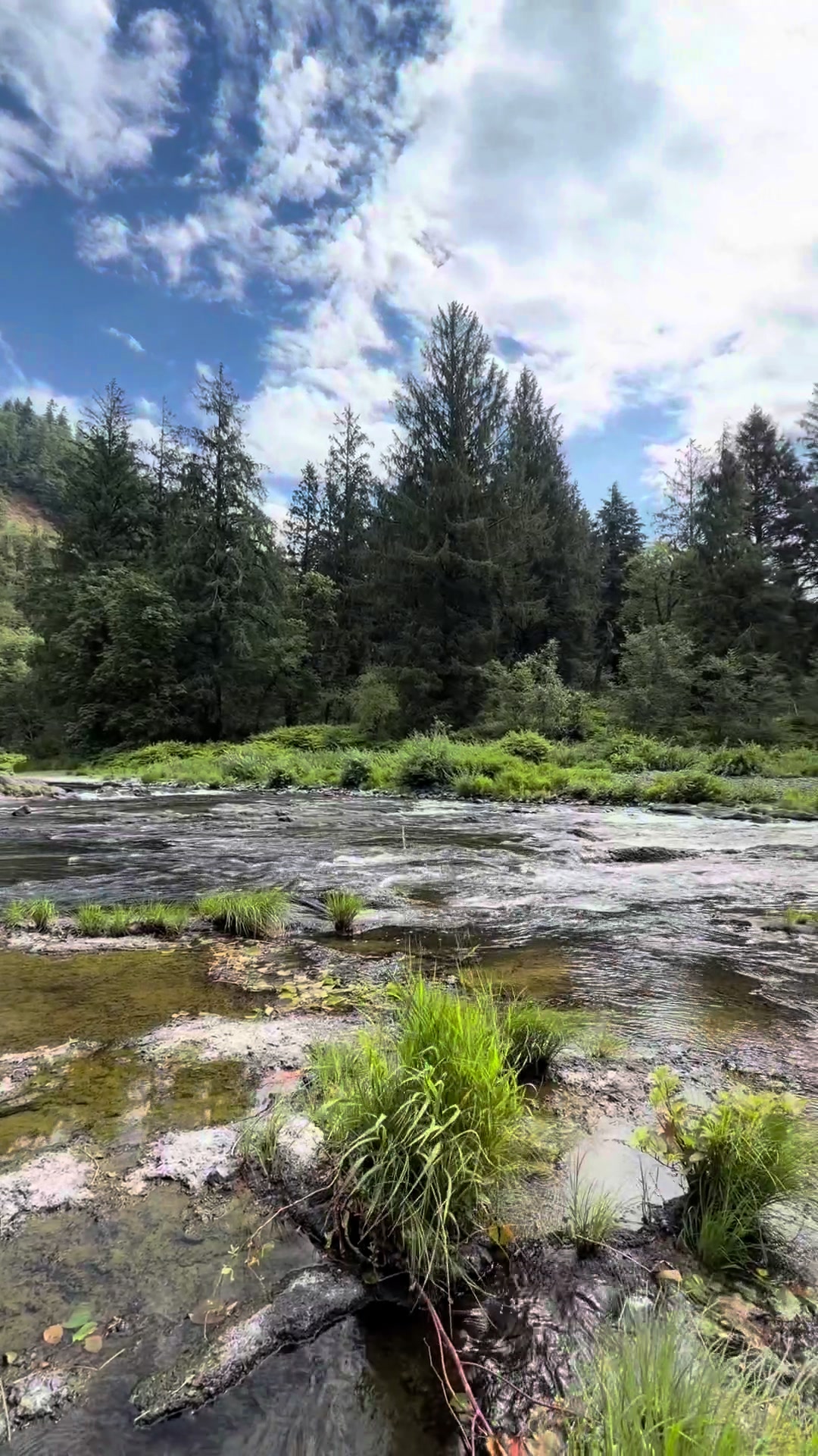 @oregonskyveek