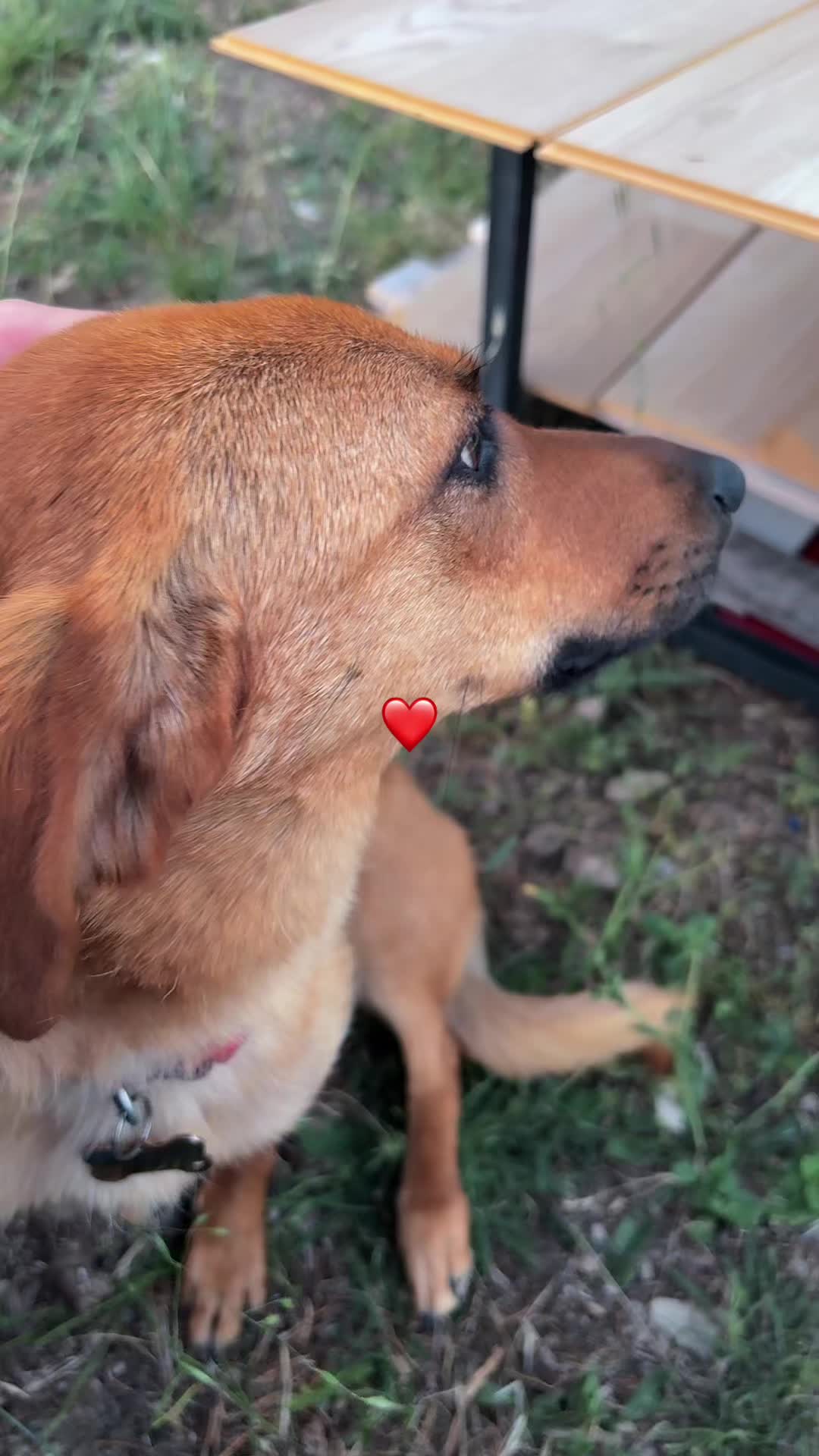 @💚Valentina💚