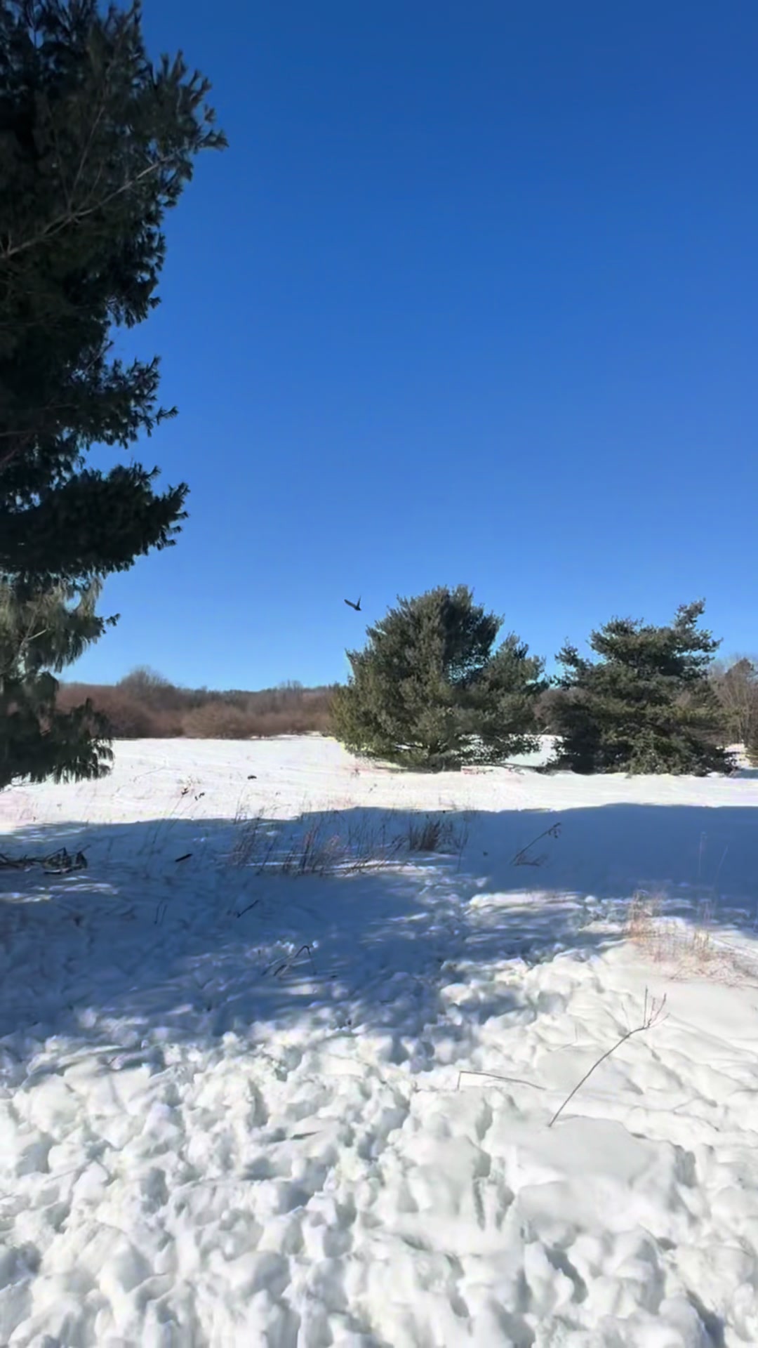 @HowellNatureCenter