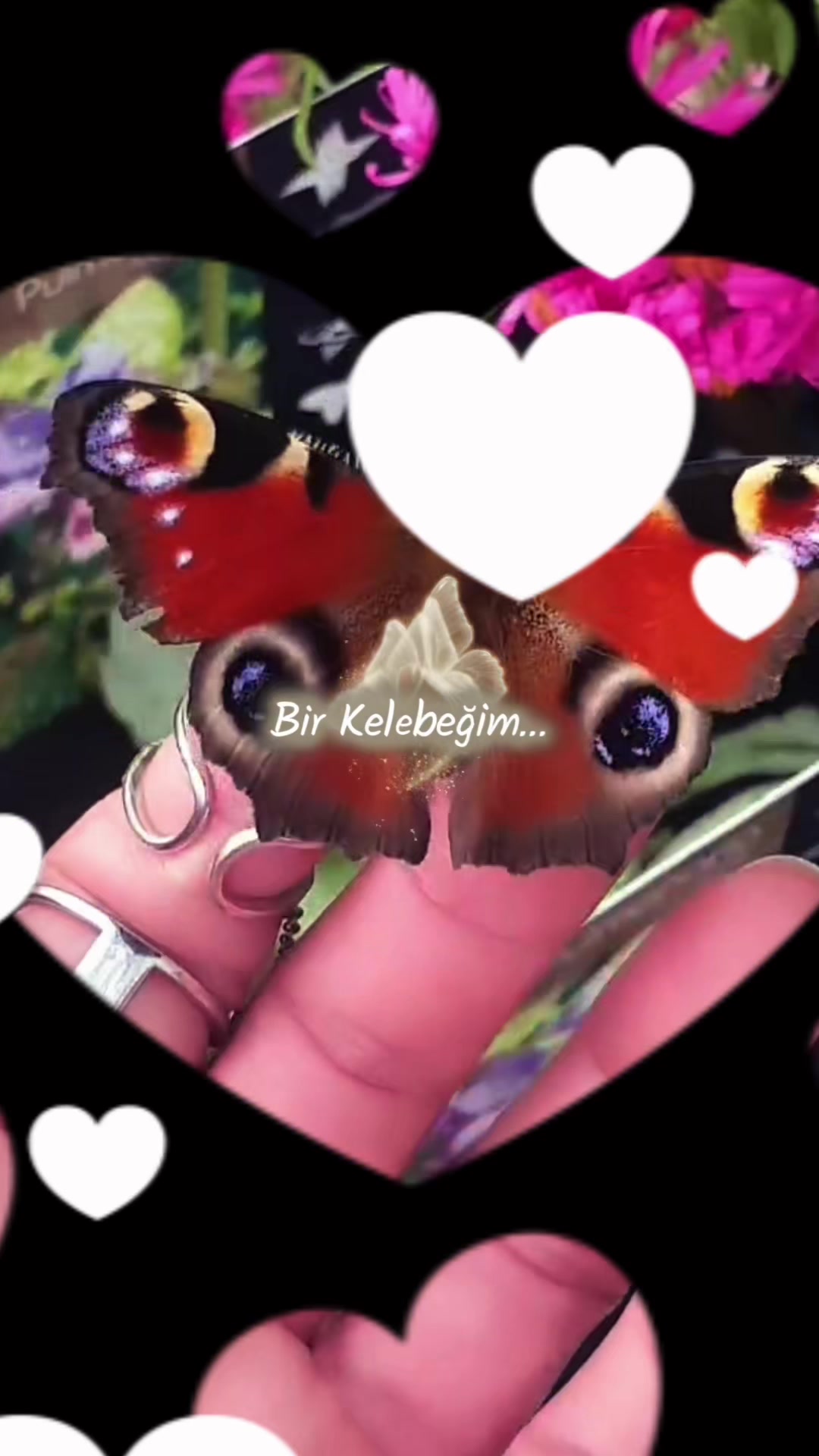 @🅣&hearts;️🅤&hearts;️🅣&hearts;️🅚&hearts;️🅤&hearts;️🅜