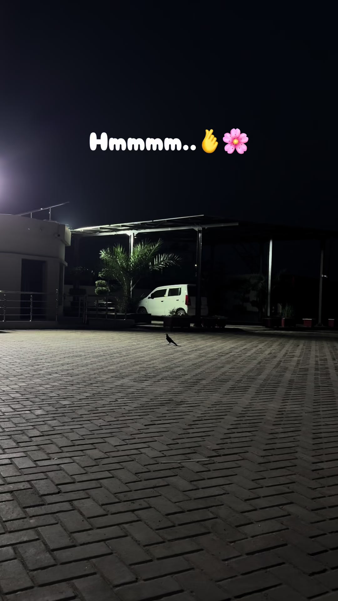 @حمزہ 💫🫀