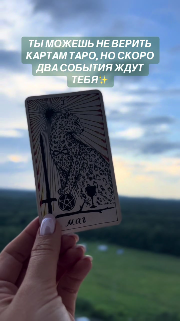 @tarolog__katrin_