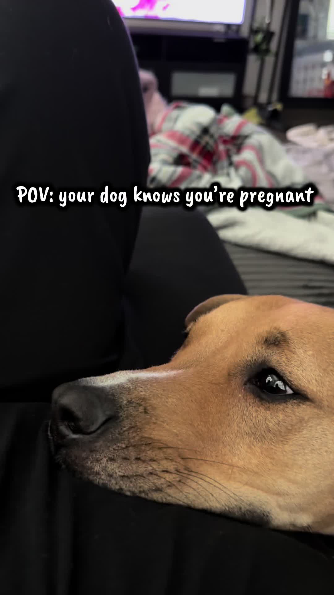 @MomHood