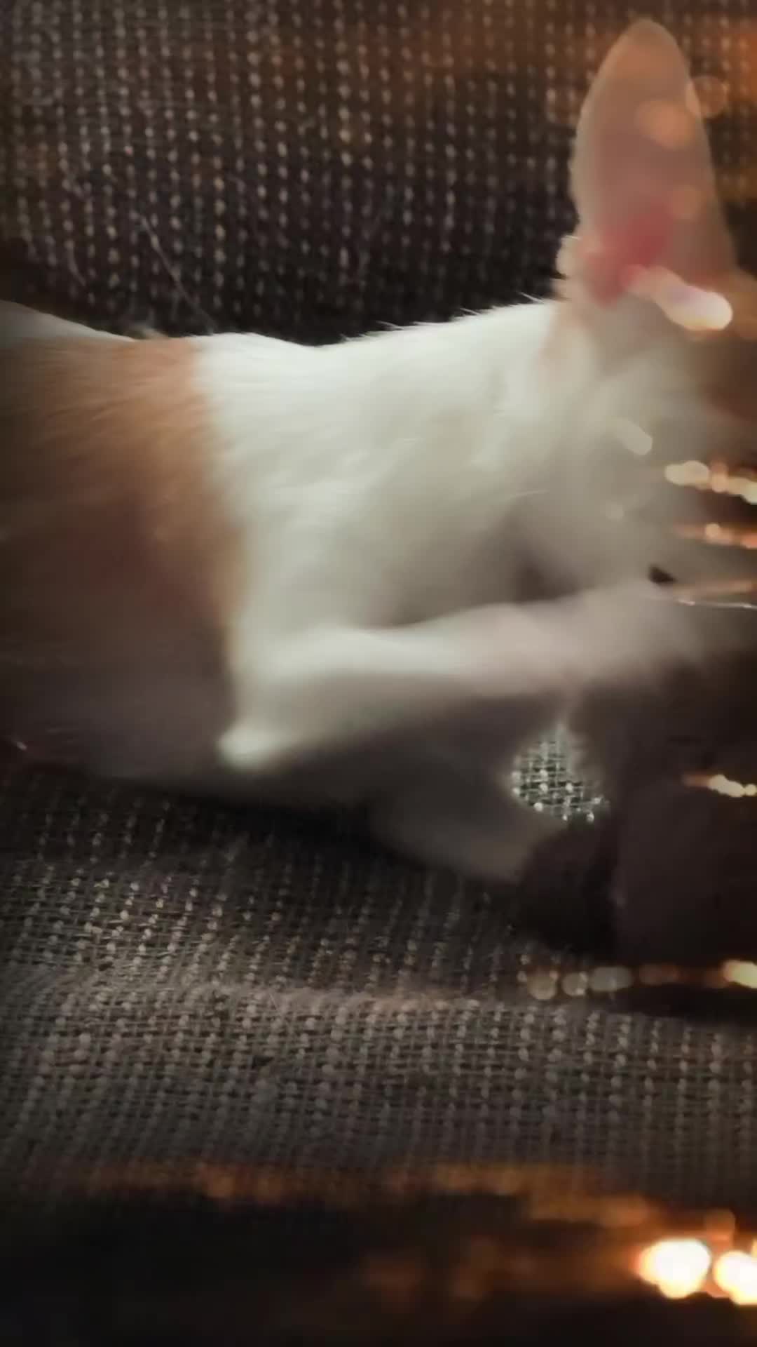 @๐๐ ๐๐ฆ๐ฃ โ๐๐ฃ๐ ๐๐