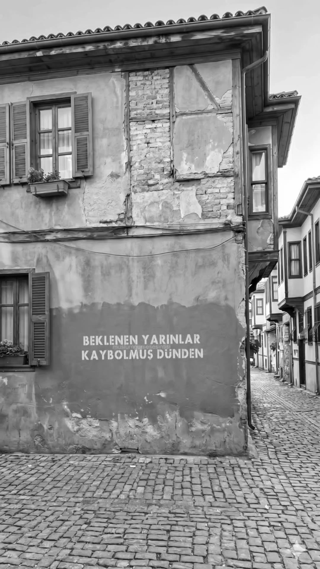 @Demet Tan KARABELA@