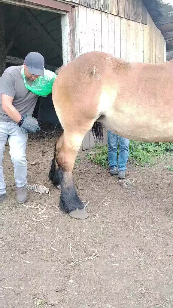 @ВАСЯ БОЙЧУК 🐎