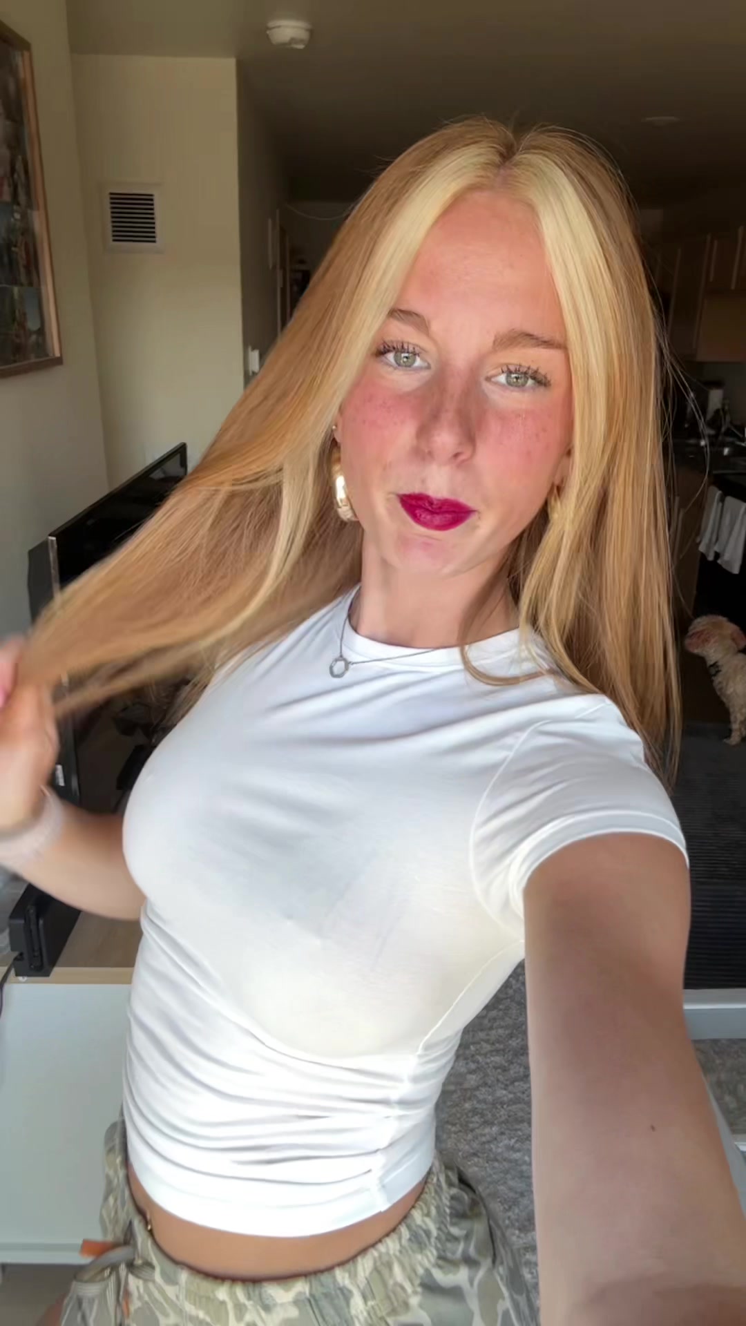 @addibaddi🐆