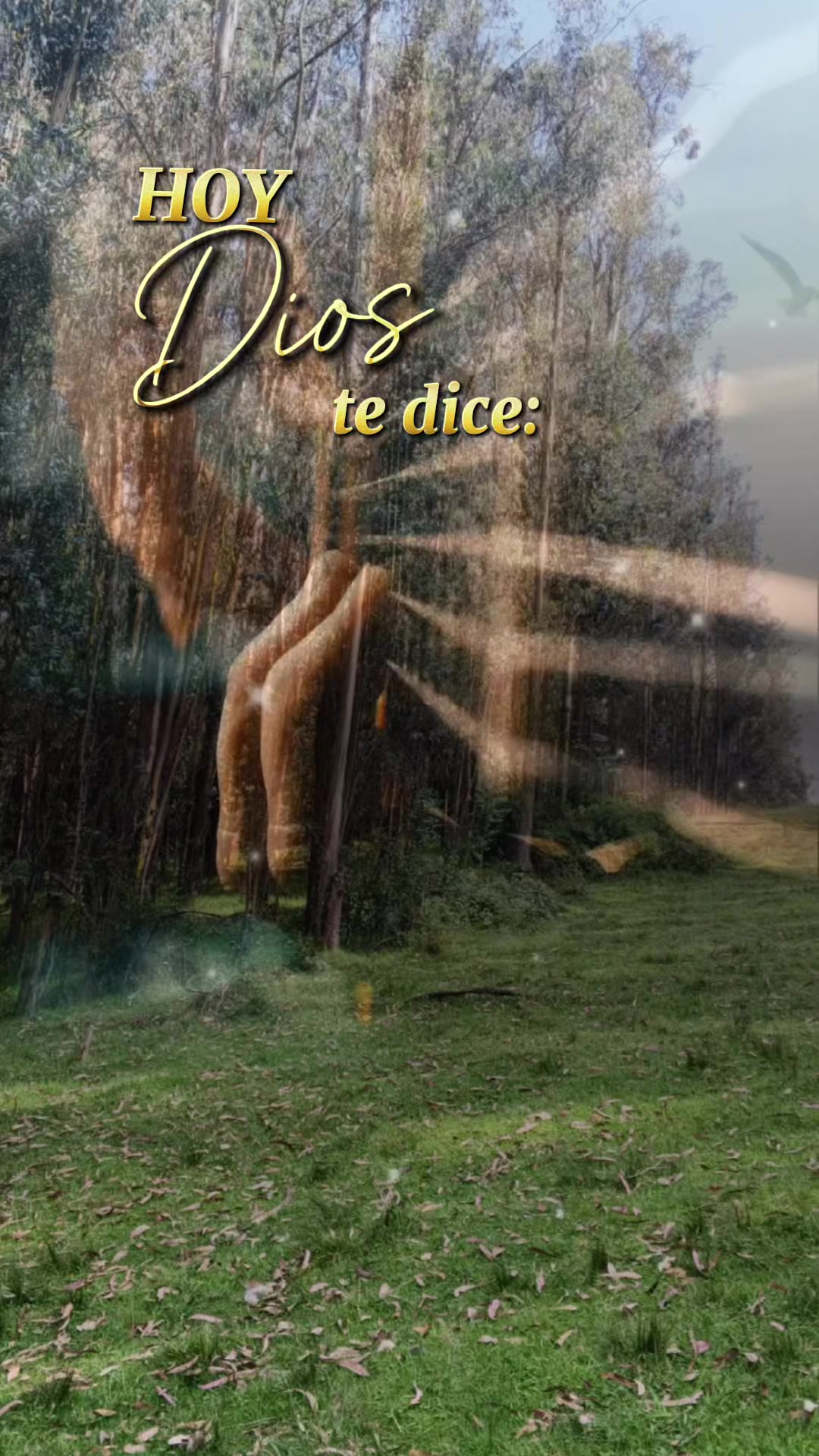 @Marco Guerrero