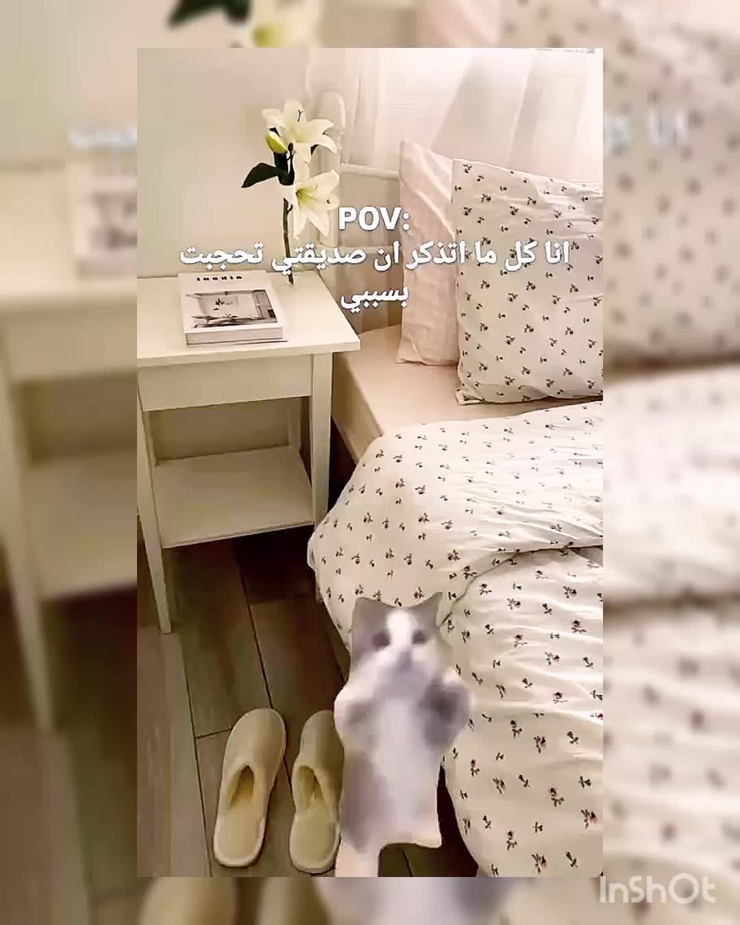 @شهد