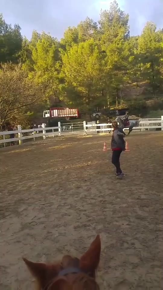 @🐴R&ecirc;ve Compulsif🐴