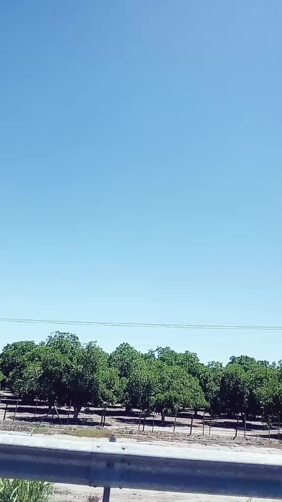 @토성