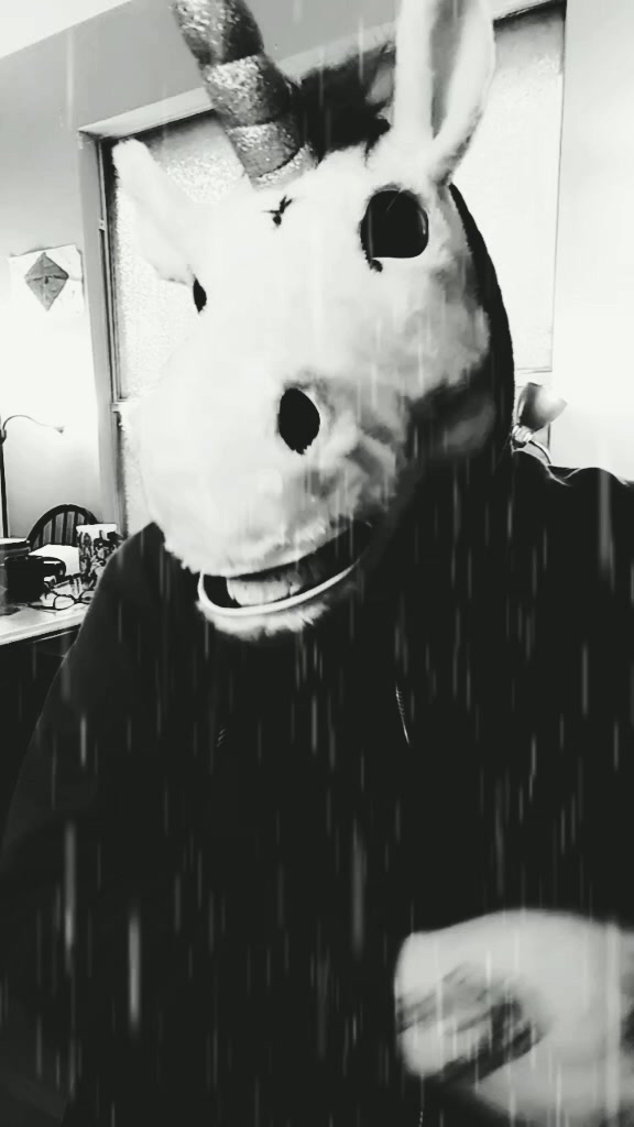 @badunicornisbad