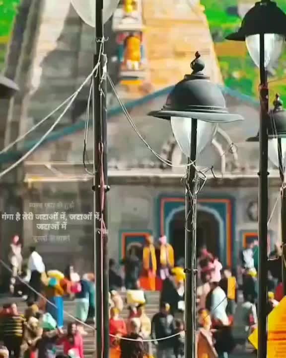 @pashu9995