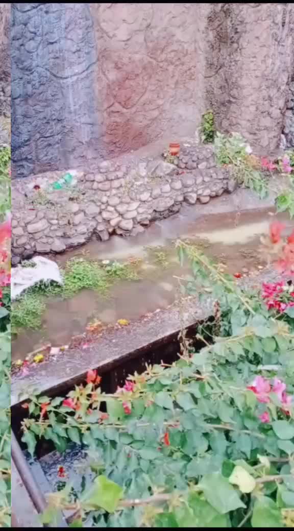 @भोले का लाडला 🙏🙏