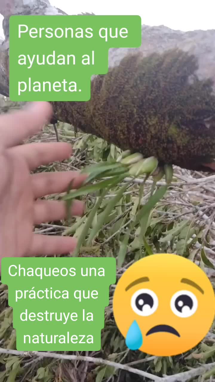 @Fundación Por Una Esperanza