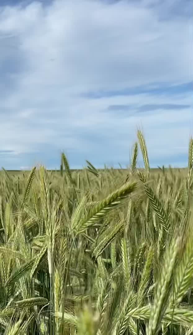 @seednetca