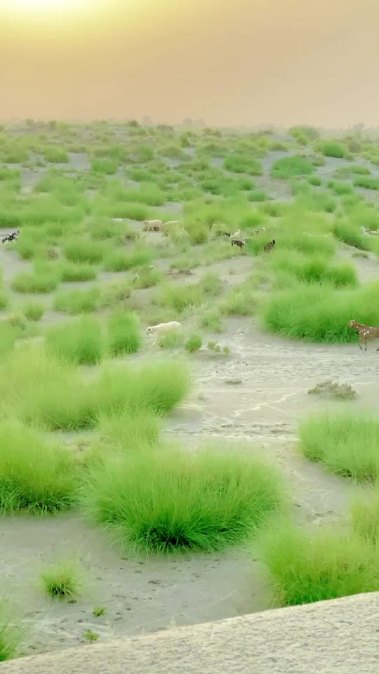 @AsadRehmanRokhri
