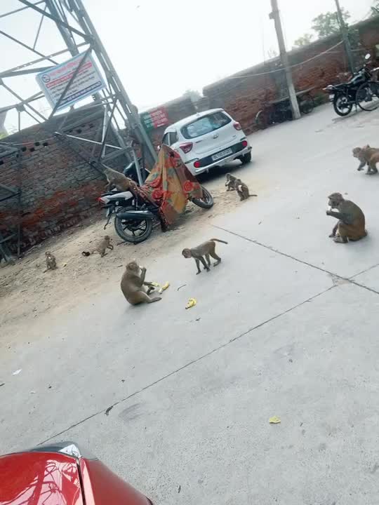 @Deepakrana1008