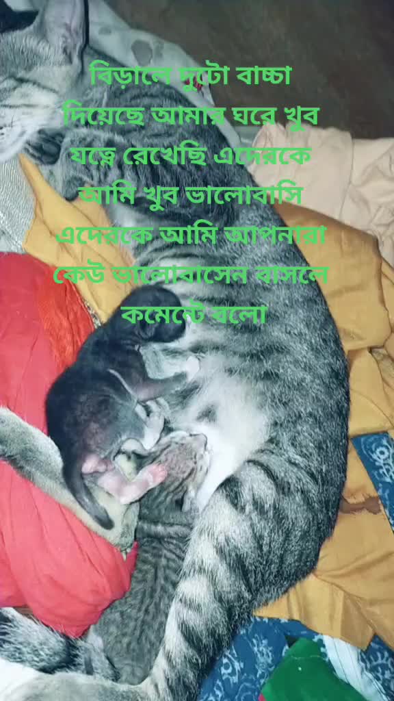 @Minarul Mondal